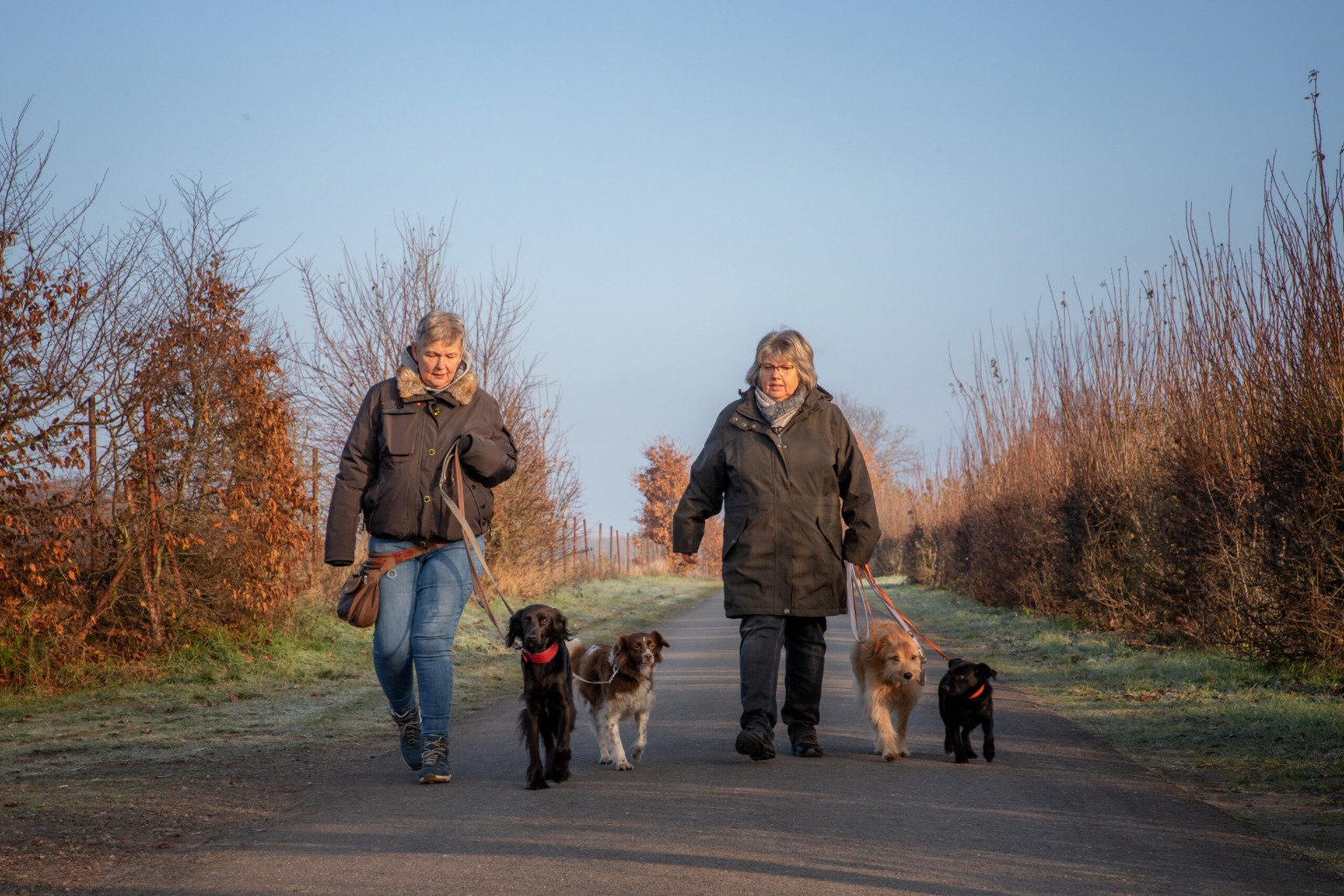 Christine Voss und Gisela Leymann mit ihren Hunden – KompassPfoten Hundetraining in Ottersberg